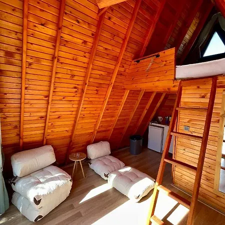 Bingidi Bungalov