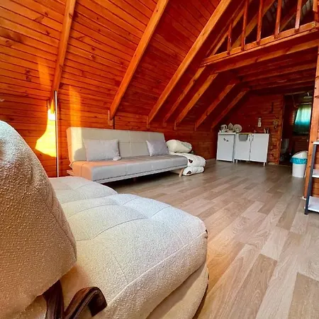Bingidi Bungalov *