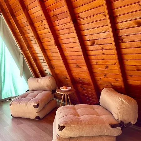 Bingidi Bungalov *