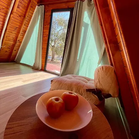 Bingidi Bungalov