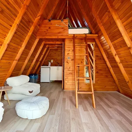 Bingidi Bungalov *