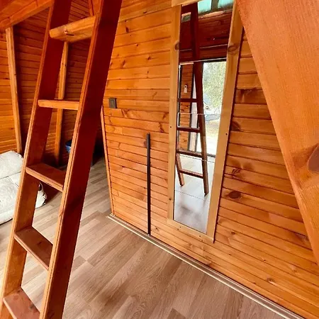 Bingidi Bungalov